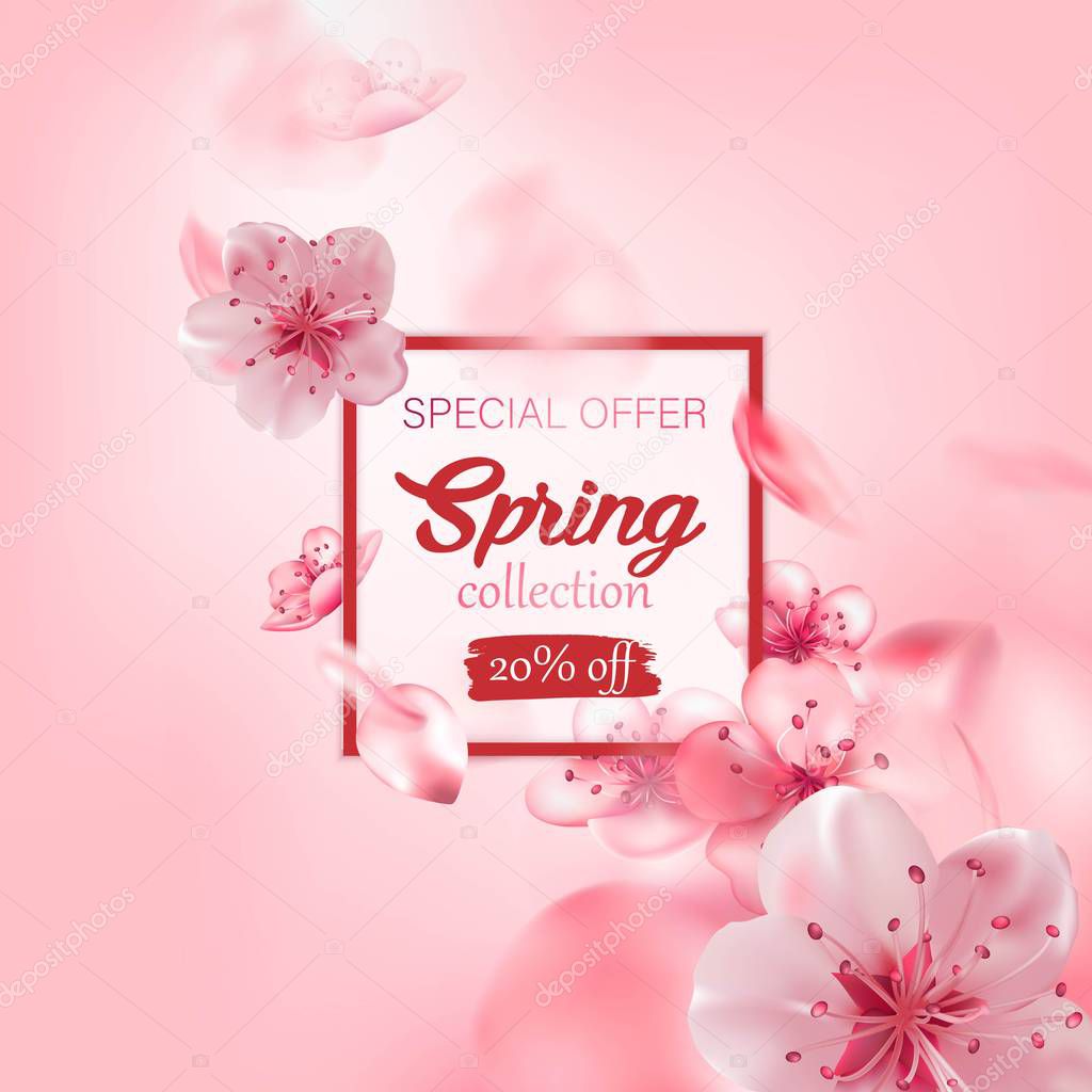 Spring sale vector illustration with cherry blossom flowers, flying petals. Pink sakura.