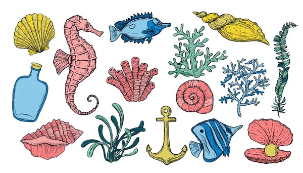 Coquille de mer, algues, ancre, hippocampe et poisson. Créatures colorées sous-marines dessinées à la main . — Image vectorielle