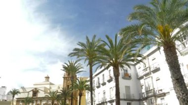 Cdiz şehir meydanı. Palmiye ağaçları ve bir yaz günü katedral..