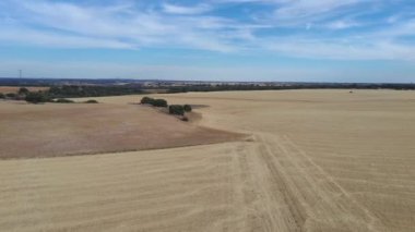 Bir yaz günü mavi gökyüzünde bulutlu kuru çayır manzarası. İHA atışı.