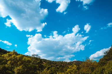 Güneşli bir günde, dağların üzerinde bulutlarla mavi gökyüzü ve yeşil orman..