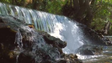 Madrid 'de Cascada del Hervidero adında doğal bir şelale. Ormanda, bitki örtüsü ve kayalar arasında.. 