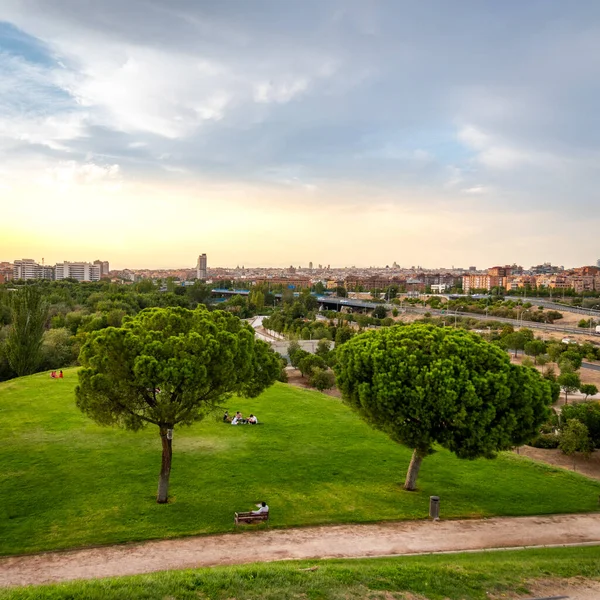 Madrid şehir manzarası, yeşil çimen tepesi, ağaçlar ve bazı insanlar ve gün batımında ufukta şehir.. 