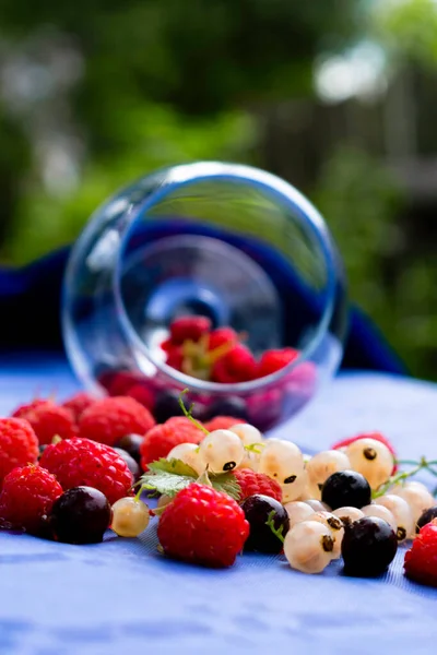 ahududu ve yaban mersinli kek.