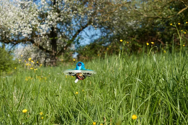 Beyaz koruyucu çubuklu küçük ve mavi dron, yeşil çayırlar, düğün çiçekleri ve elma ağaçları üzerinde güvenilir bir şekilde süzülüyor. Nuertingen, Almanya
