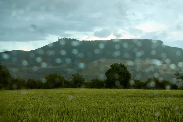 Красивое Пшеничное Поле Мерцает Зеленым Желтым Рассеянном Свете Ним Холмы — стоковое фото