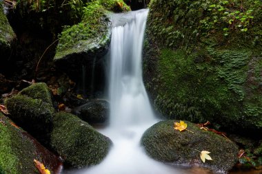 Gertelbach şelalesinin küçük çağlayanı, sarı akçaağaç yaprağı görülebilir. Buehlertal, Almanya