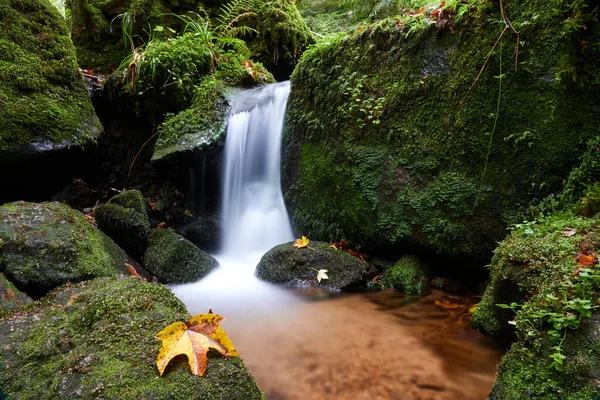 Small Cascade Gertelbach Waterfall Maple Leaf Yellow Can Seen Buehlertal — Stock Photo, Image