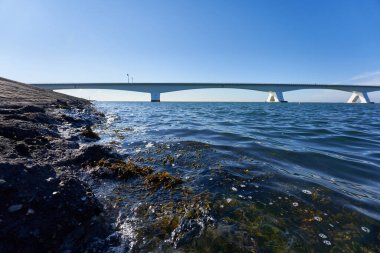 Hollanda 'daki Beyaz Zelanda köprüsü, mavi deniz suyu ve gökyüzü, ön planda deniz yosunları. Hollanda, Zeeland.