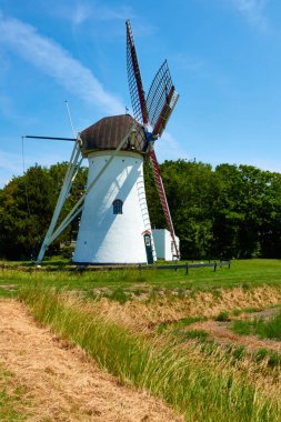 Yeşil çayır üzerindeki Hollanda yel değirmeni ve yandan çekilen uzun ağaçlar. Hollanda, Zeeland.