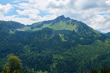 Tyrol 'daki Tannheim dağları, bir sürü yeşil ağacı olan yüksek arazi, gri ve beyaz bulutlu mavi gökyüzü. Almanya, Bavyera, Pfronten.