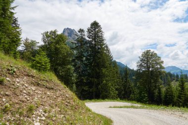 Parlak çakıl taşlı yollar yokuş aşağı gider, yüksek toprak şekilli buğday kafa bulutlarla kaplı bir gökyüzü ile uzaktan görülebilir. Almanya, Tannheimer Tal.