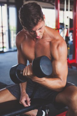 bronzlaşmış kaslı çıplak gövde ile yakışıklı adam spor salonunda bir bankta oturur ve dumbbell ile trenler pazı