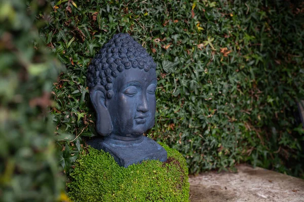 Primer plano escultura de piedra negra de una cabeza de buda en un nicho de planta verde en un jardín. vista derecha — Foto de Stock