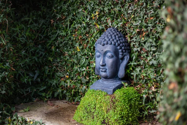 closeup black stone sculpture of a buddha head in a green plant niche in a garden. left view