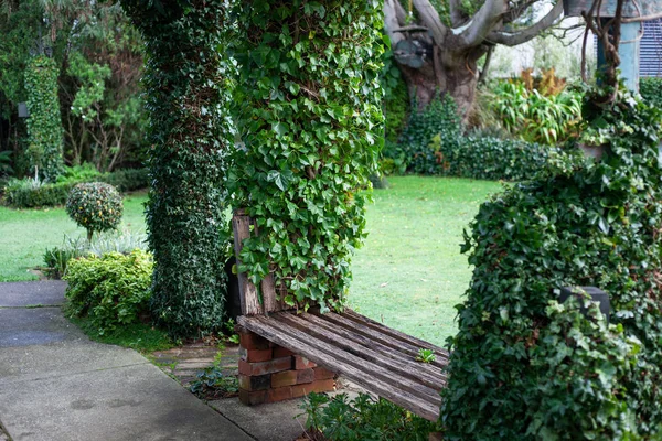 Viejo banco de madera medio podrido y árboles entrelazados con plantas trepadoras en el jardín — Foto de Stock