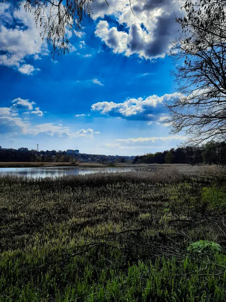 Quiet Fishing Spot You Can Relax Working Days — Stock Photo, Image