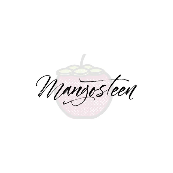 Mangosteen szót a háttér illusztráció. Gyümölcs web elem, elszigetelt vektor — Stock Vector