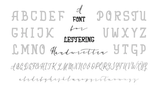 Două fonturi. Vector de mână desenat font. Perie scrisori pictate. Alfabet manual pentru desenele dvs.: logo, postere, invitații de nuntă, cărți etc. . — Vector de stoc