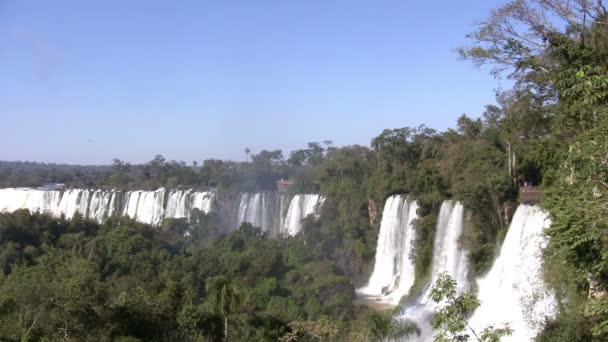 View Iguazu Falls Argentina — Stock Video