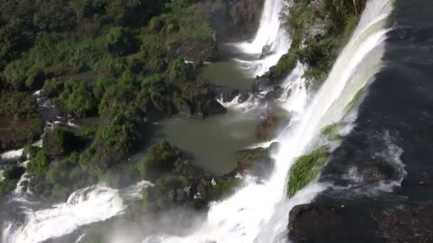 Άποψη Του Iguazu Falls Αργεντινή — Αρχείο Βίντεο