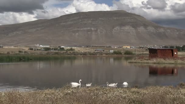 阿根廷El Calafate地貌 — 图库视频影像