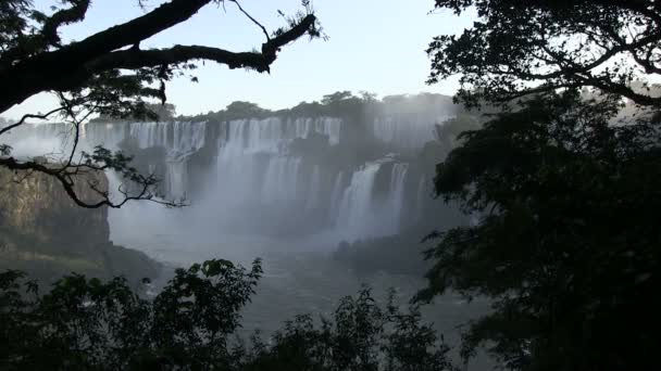 Iguazu Şelalesi Manzarası Arjantin — Stok video