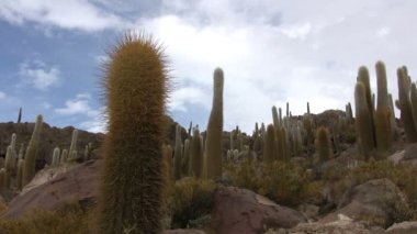 Salar de Uyuni, Bolivya