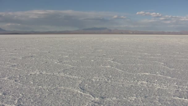 Salar Uyuni Bolivien — Stockvideo