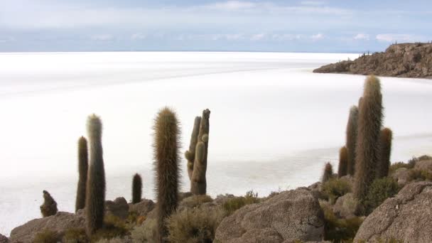 Salar Uyuni Bolívie — Stock video
