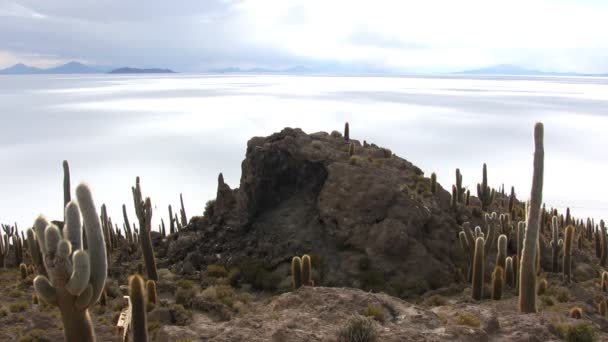 Salar Uyuni Bolivya — Stok video
