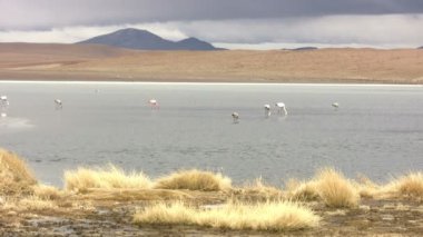 And Dağları, Bolivya Görünümü