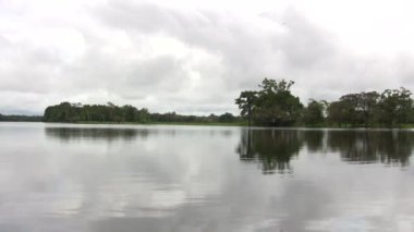 Amazon Nehri, Manaus, Brezilya