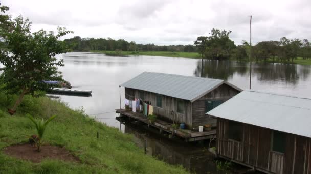 Amazonfloden Manaus Brasilien — Stockvideo