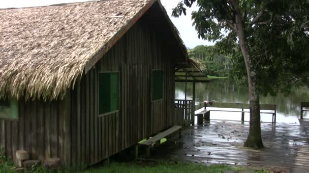 Amazonka Manaus Brazylia — Wideo stockowe