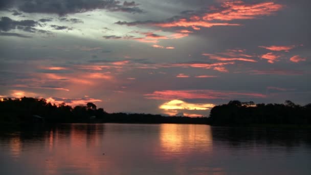 Amazonfloden Manaus Brasilien — Stockvideo