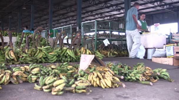 Manaus Abril 2007 Manaus Brasil — Vídeos de Stock