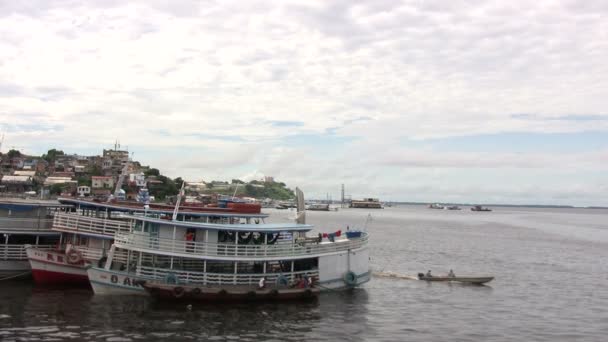 Amazon River Manaus Brazil — Stock Video