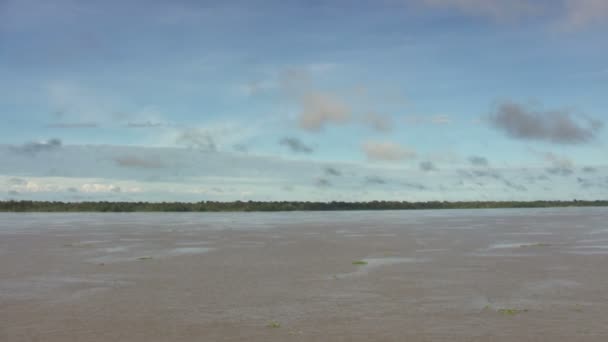 Amazon Nehri Brezilya Güney Amerika — Stok video