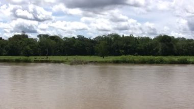 Amazon Nehri, Brezilya, Güney Amerika