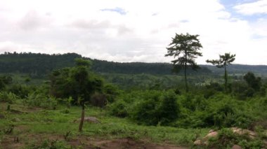Beng Mealea, Siem Reap, Kamboçya