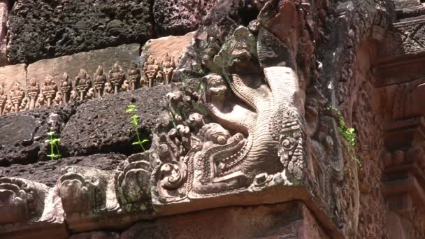 Beng Mealea Siem Reap Kambodža — Stock video