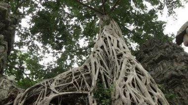 Angkor wat, siem hasadı, Kamboçya