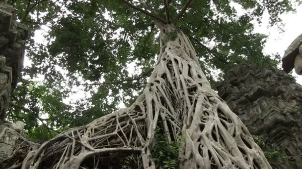 Angkor Wat Siem Sklizeň Kambodža — Stock video