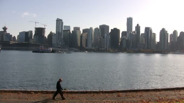 Vancouver Nov 2008 Stanley Park Vancouver Canadá — Vídeo de stock