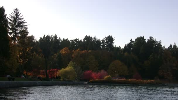 Stanley Park Vancouver Kanada — Stok video