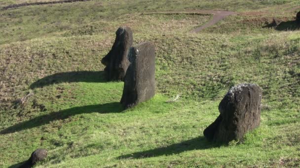 Moai Osterinsel Chile — Stockvideo