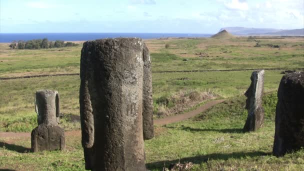 Moai Isla Pascua Chile — Vídeos de Stock