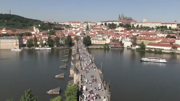 Vltava Moldau Praha Česká Republika — Stock video
