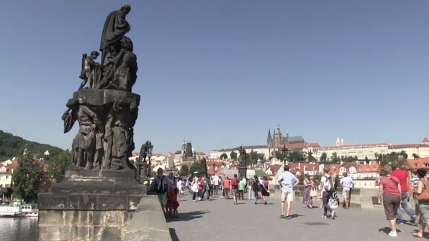 Прага Aug 2012 Charles Bridge Karluv Most Прага Чехія — стокове відео